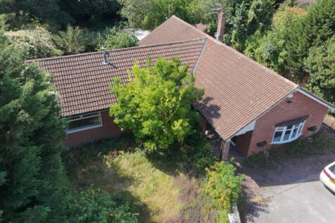 Dji fly 20260811 143050 0273 1786462608106 photo