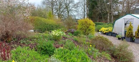 Garden In May