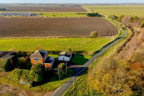 Pondarosa (Frampton)-1