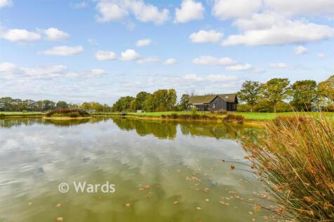 External Lifestyle Photograph