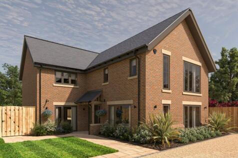 Copper Beech CGI