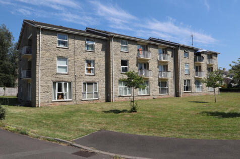Overview of the development