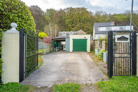 Driveway and Garage