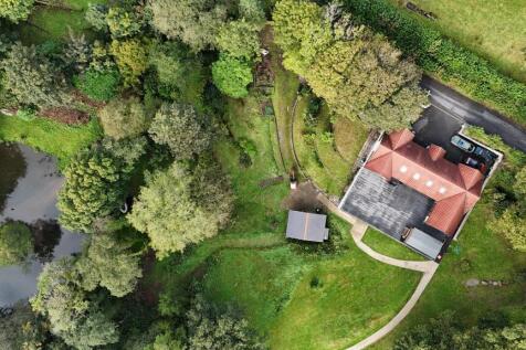 Grounds