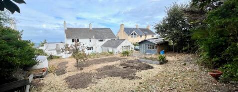 7 Alfred terrace garden .jpg