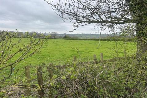 IMG_5267.JPEG