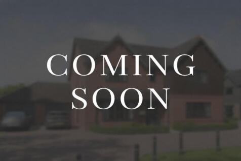 Dandara - Hawthorn Grove - The Burghley