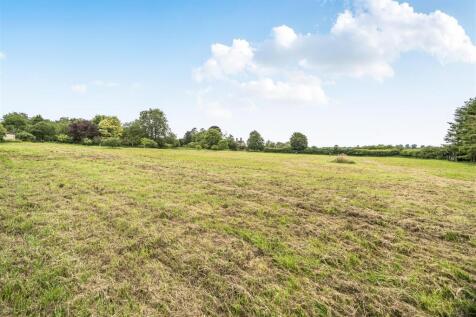 Field