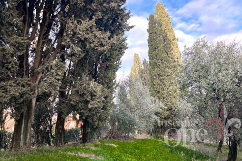 villa san michele -9