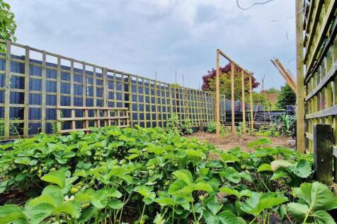 Vegetable &amp; Fruit Garden