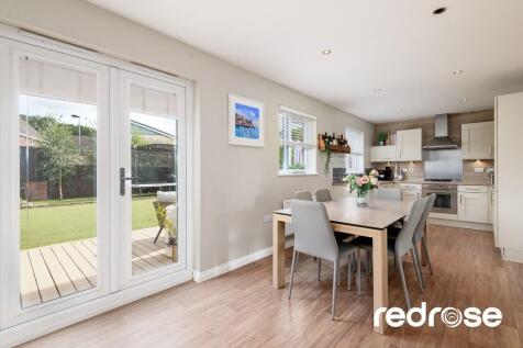 web_16 Old Thorns...