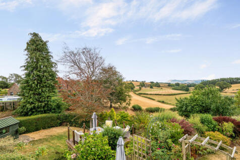 1501822 (1).jpg