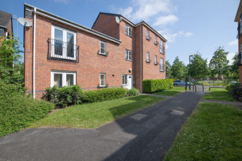 ChatGPT Image Feb 16, 2026 at 10_07_12 AM