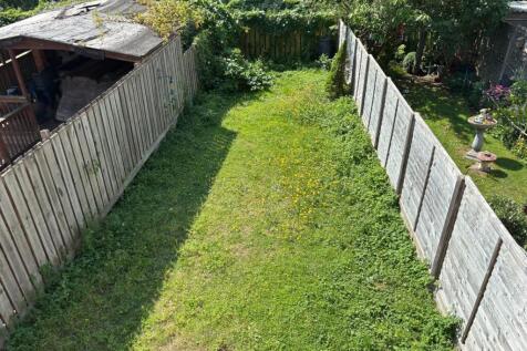 image00002.jpeg