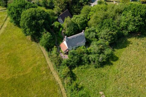 Apple Trees (14).jpg