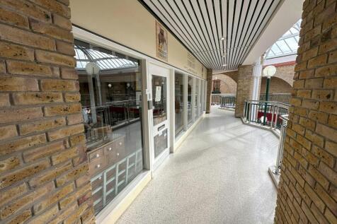 20230908_ _iOS  Copy.jpg