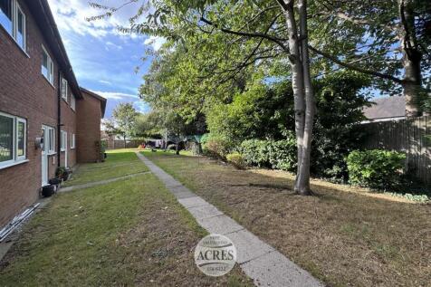 IMG_0127 (Large).jpg