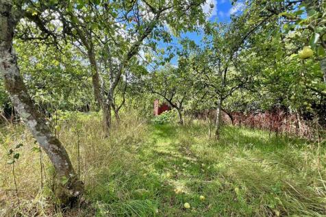 Orchard