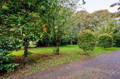 Property Image 45