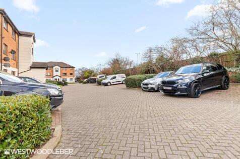 Parrotsfield_14.jpg