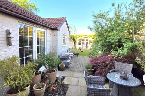 114377.jpg