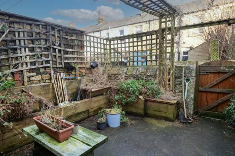 Rear Yard