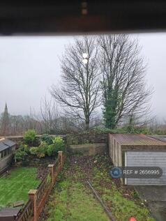 Back Garden