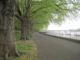 River Walk - Wandsworth Park