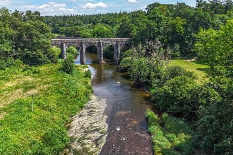 1319194 (15) Drone.jpg