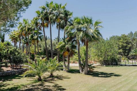 Property Image 37
