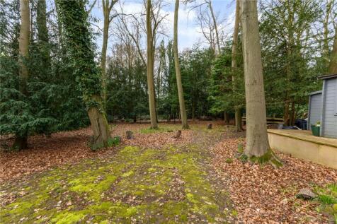 Wooded Area