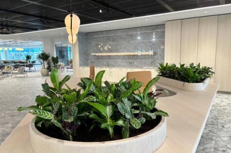 Level 9 show suite - reception