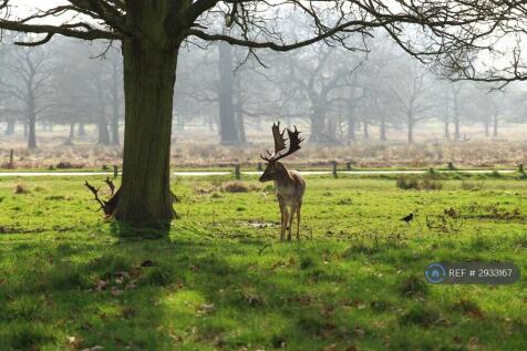 Richmond Park 5 Mins Walk