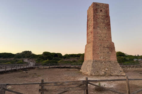 Image 45