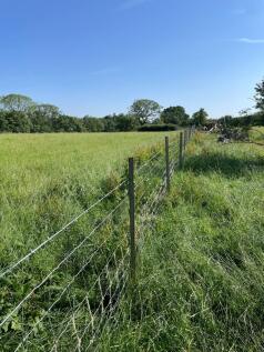 Farm Land for sale Image 5