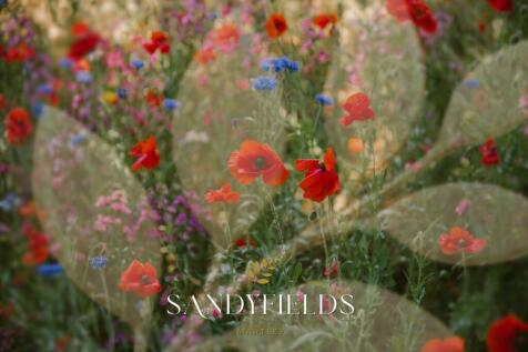 Flowers Sandyfields