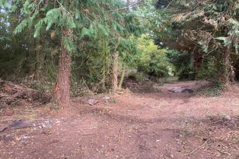 Grounds