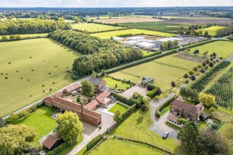 Aerial Shot