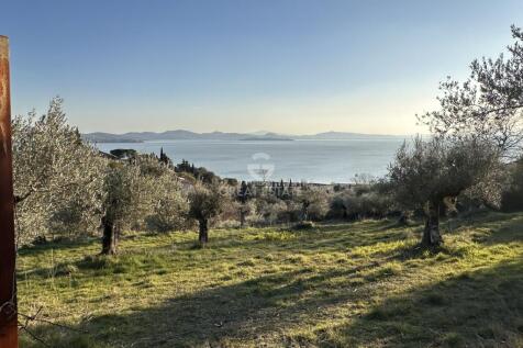 Panorama e Particolari