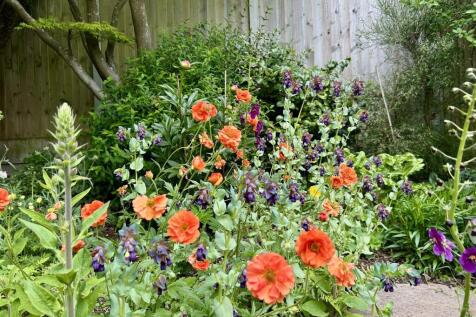 IMG_1286.jpeg