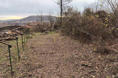 Outdoor garden path with cleared vegetation, fencing, and a hill visible in the distance under a cloudy sky.