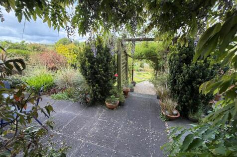 patio 3.jpg