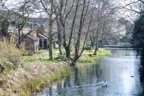 Picture No. 02