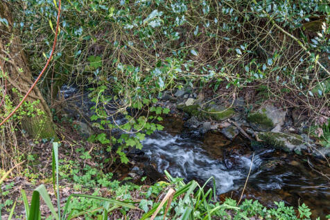 Stream