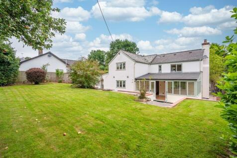Rear elevation and garden