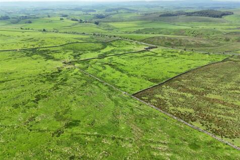 Land at Dykelands Lot 1_0021.jpg