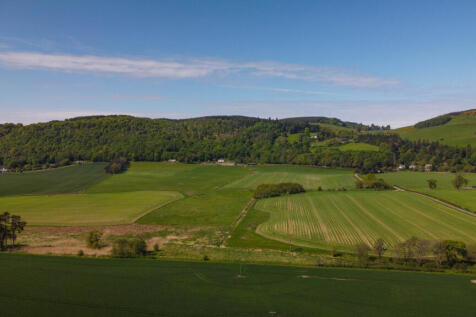 View Of The Surroundings