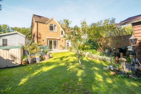 Property Image 11