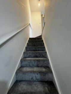 warringtonIMG_33243lflwr (23).jpg