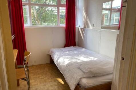 PHOTO-2024-12-07-12-42-31 3